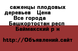 саженцы плодовых деревьев › Цена ­ 6 080 - Все города  »    . Башкортостан респ.,Баймакский р-н